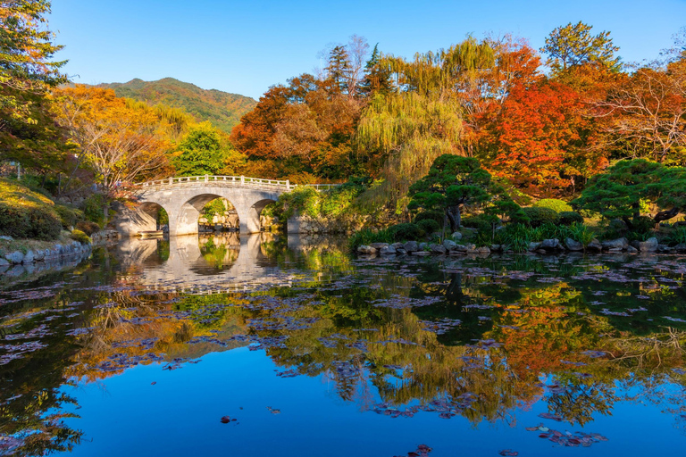 Busan: Gyeongju UNESCO Highlights 6 Hours Express Tour Shared Tour, Meet at Haeundae Station