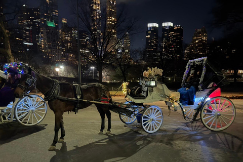 NYC: Central Park Christmas Lights Horse-Drawn Carriage Ride