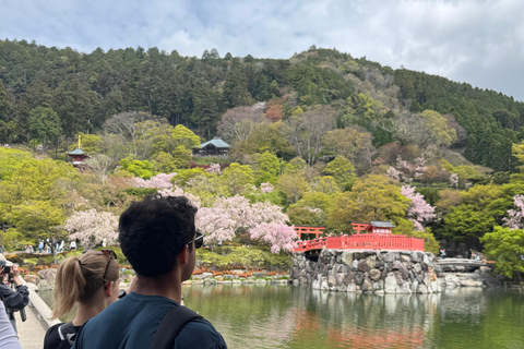 Osaka E MTB Trail Ride: Katsuo-ji Temple & Pilgrim Trails Advanced E-MTB Trail Experience Katuo-ji temple