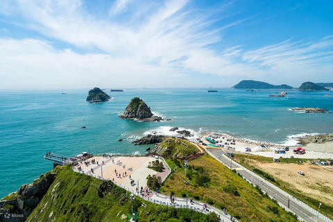 Max Out Busan: recorrido de un día por las principales atracciones de la ciudadVisita compartida - Encuentro en la estación de Haeundae