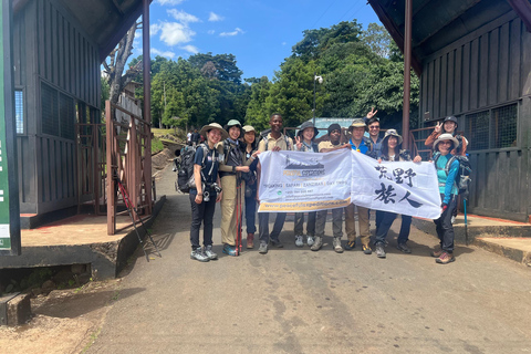 Kilimanjaro: Mount Kilimanjaro 5-Day Marangu Route Trek