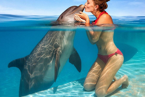 Alanya: Dolphin & Sea Lion Show with Hotel Transfers