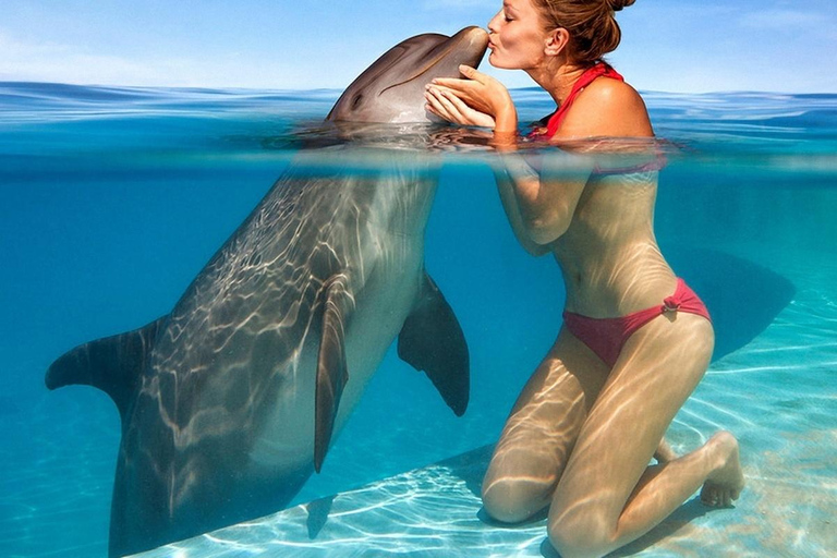 Alanya: Dolphin & Sea Lion Show with Hotel Transfers