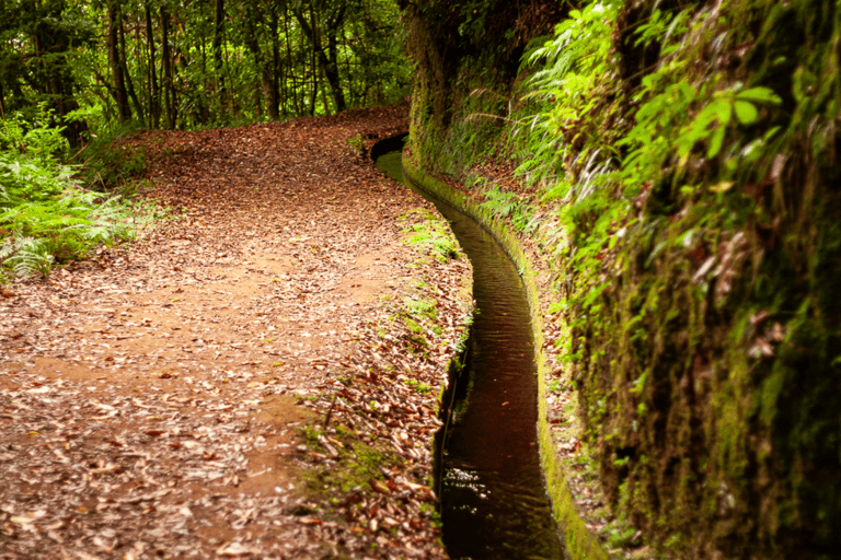 Madeira: PR 18 - Caminhada na Levada do Rei com TransferesMadeira: Caminhada na Levada do Rei com Transferes