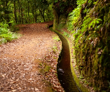 Madeira: PR 18 - Levada do Rei Hike Transfer
