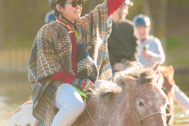 Horseback Riding Tour to Turtle Rock & Aryabal Brief Introduction to Mongol Horse