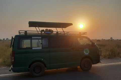 Safari de 3 jours dans le parc national des chutes de Murchison