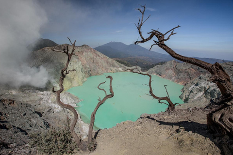 Mount Ijen Overnight Adventure: Start from Banyuwangi Pickup from Banyuwangi and Drop-off to Bali Island