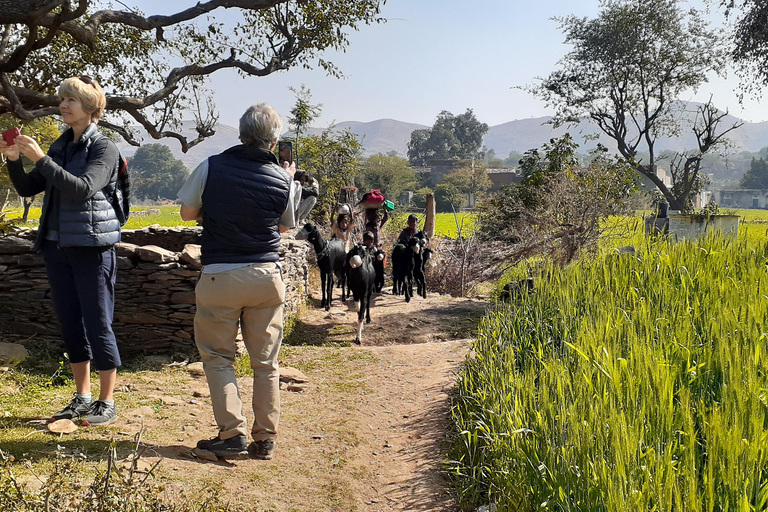Visita guiada a la vida rural en tuk tuk.Visita guiada por la vida rural en tuk tuk