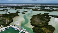Progreso Isla Columpio e Pig Beach Club Day Pass - Housity