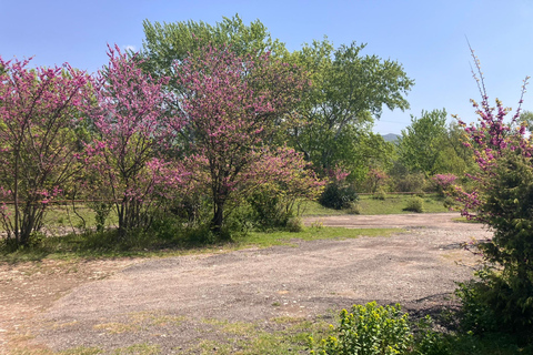 Från Tbilisi: Rundvandring i Mtskheta längs floden Aragvi