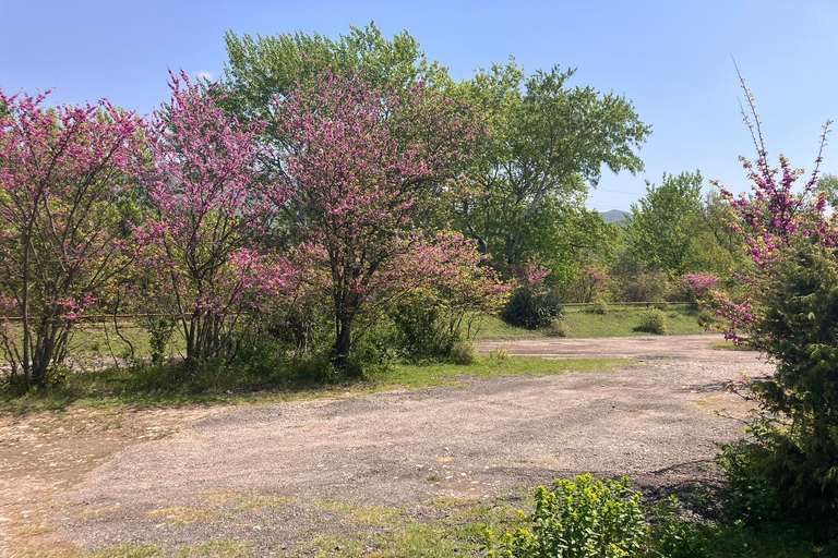 Från Tbilisi: Rundvandring i Mtskheta längs floden Aragvi