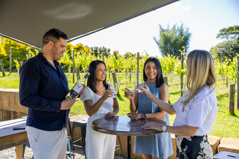 Gold Coast: Hop on Hop off Wine Tasting Tour to Mt Tamborine