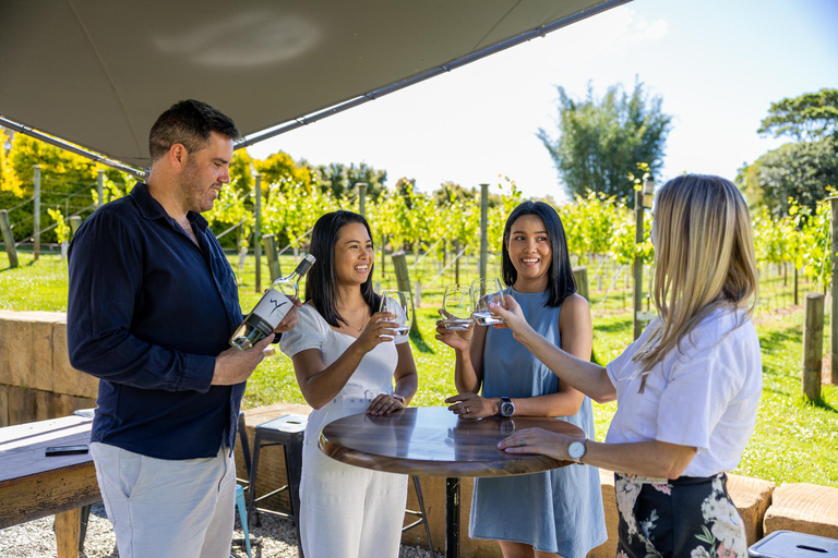 Costa Dorada: Cata de vinos +Hop on Hop off autobús turístico al monte TamborineCata de vinos de la montaña Tamborine y tour con paradas libres GC