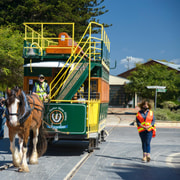 Fleurieu Peninsula: A Memorable Journey