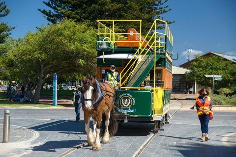 Península de Fleurieu: Un viaje memorable