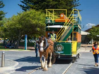 Fleurieu Peninsula: Eine denkwürdige Reise