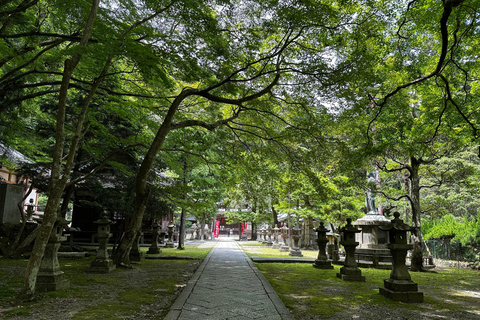 Osaka: Privat tur i svärdskonst - tränad av en stormästare