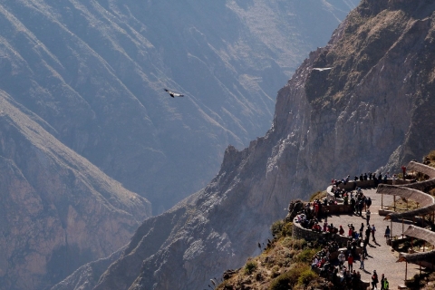 Z Arequipy: Kanion Colca obejmuje |Cały dzień|