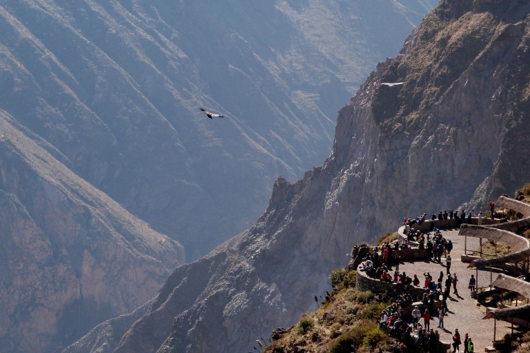 Z Arequipy: Kanion Colca obejmuje |Cały dzień|