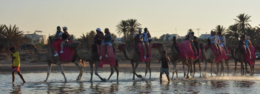 Aventure à cheval et à dos de chameau de 2,5 heures à Djerba – Top Djerba Tour