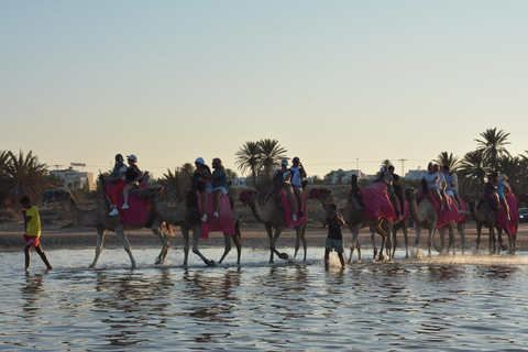 Vivez l&#039;aventure pendant 2,5 heures avec des chevaux et des chameaux.