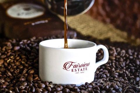 Kiambu: Fairview Estate Coffee Farm Tour with Tasting