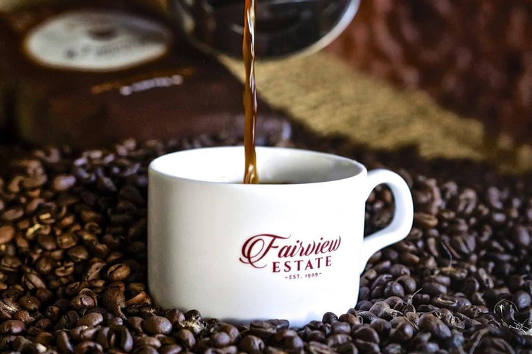 Kiambu: Fairview Estate Coffee Farm Tour with Tasting