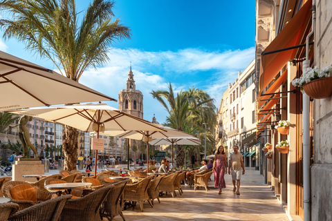 Guided Tour of Valencia's Historic Center 4-hour private tour