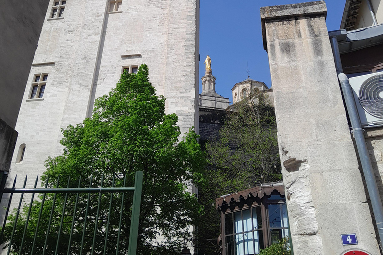 Avignon: walking tour of the most see-sights and hidden gems