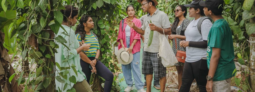 Un voyage culinaire avec les habitants de l'île de Chorao