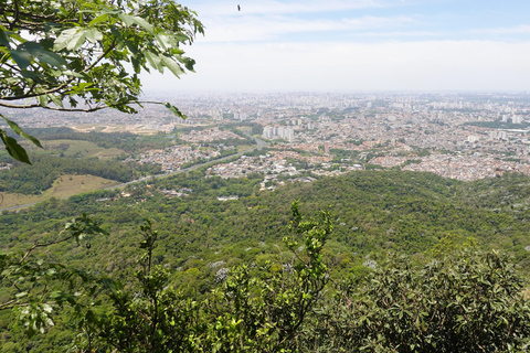 São Paulo: Pico Jaraguá – Spaziergang durch den RegenwaldSão Paulo: Wanderung durch den Regenwald am Pico Jaraguá
