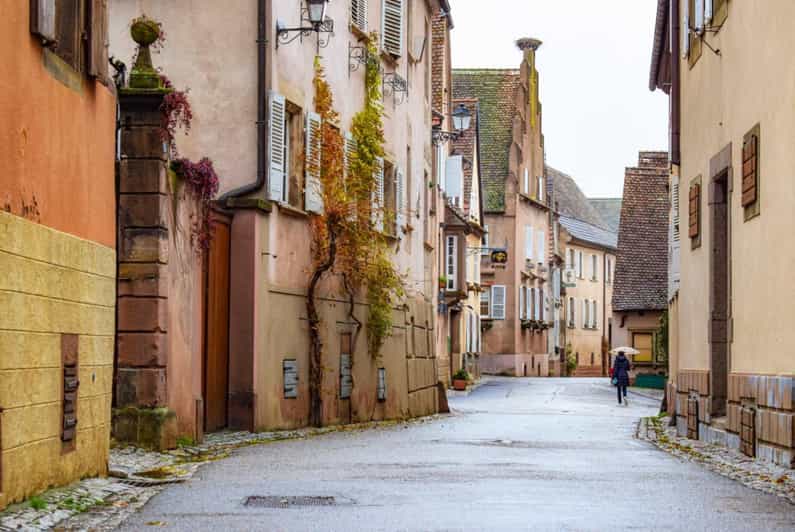 Besuche die Schätze des Elsass: Obernai, Barr, Mittelbergheim und Mont Saint Odile