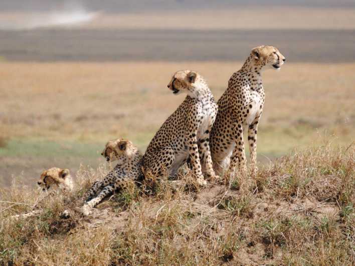 4 Days Tarangire, Ngorongoro, Serengeti Group joining Safari