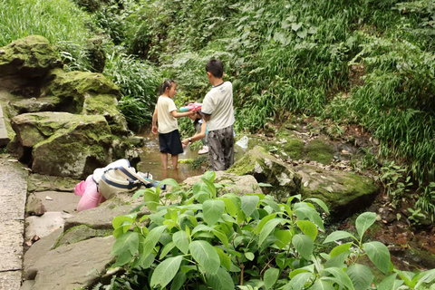 Hangzhou Hupao Park & Mountain Coffee Experience