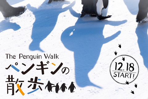 Asahikawa,Biei and Furano Wonderland day Tour in small group Itinerary C: Fairy Terrace Illumination Exclusive Tour