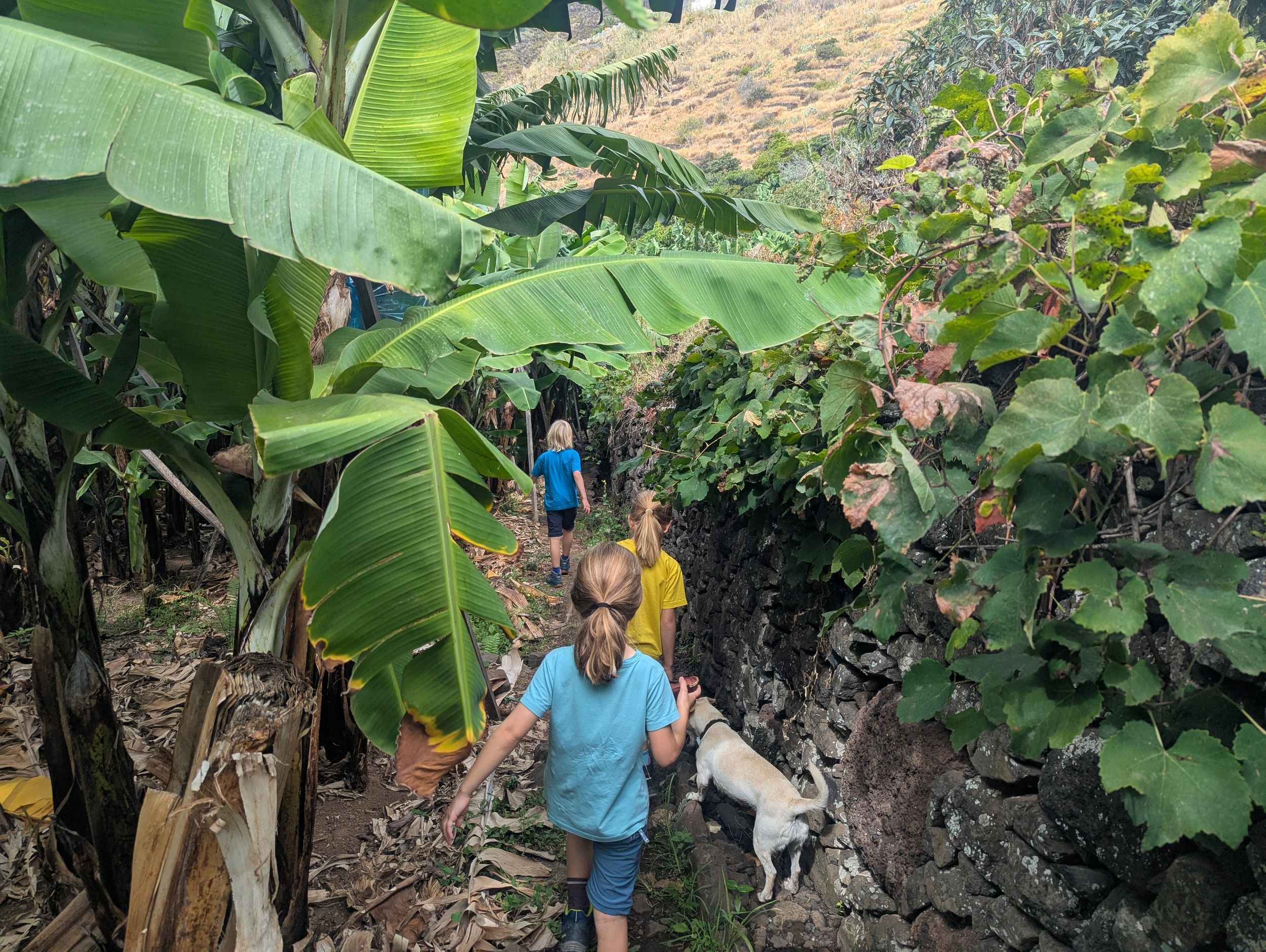 Madeira: Mandala Banana Workshop für Kinder