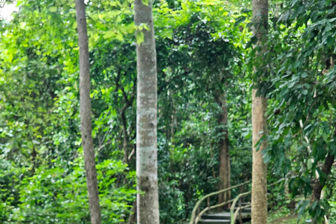 Chiangmai : Sticky waterfall & Land of angels & Wat ban den.