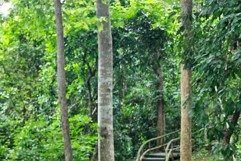 Chiangmai : Cascada pegajosa &amp; Tierra de ángeles &amp; Wat ban den.