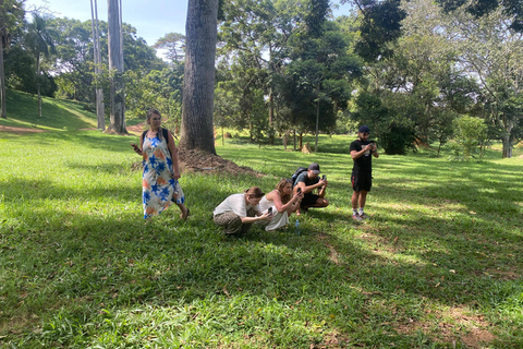 Entebbe: City Guided Walking Tour, Gardens & Uganda Rolex