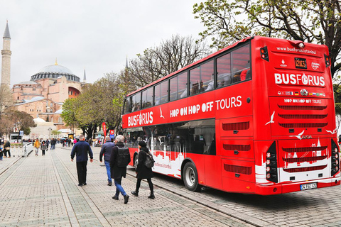 Istanbul MegaPass: Skip-the-Line Tickets for Top Attractions Classic Pass +2 Top Attractions