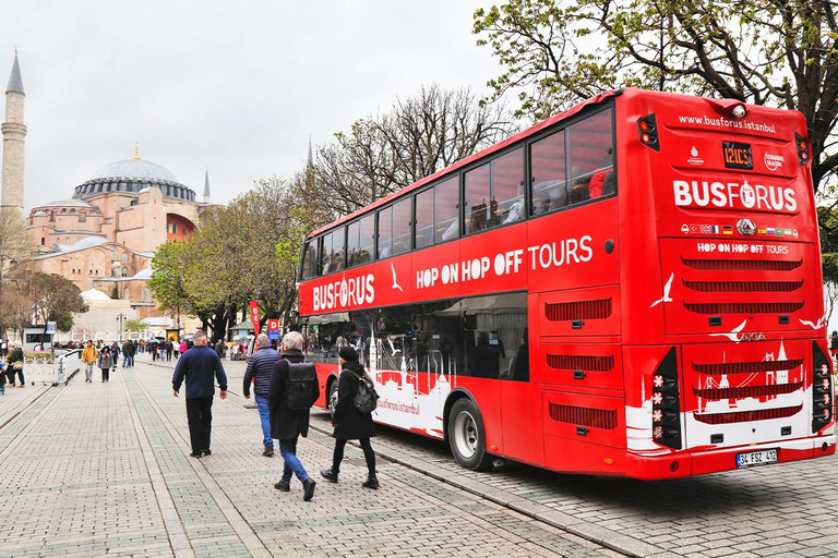 Istanbul MegaPass: Skip-the-Line Tickets for Top Attractions Classic Pass +2 Top Attractions