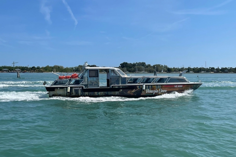 Venise : Venise : excursion en bateau d'une heure sur le canal de la GiudeccaVenise : visite en bateau d'une heure du canal de la Giudecca - Privé