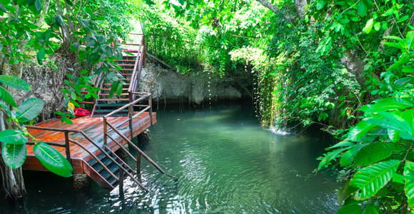 Punta Cana: Monkey Park, Farm & Cenote Swim Full Combo