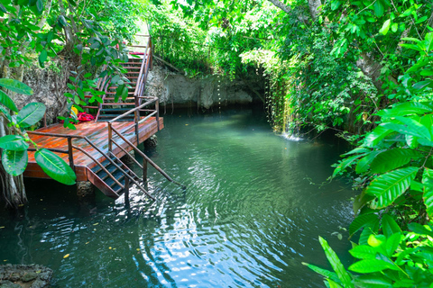 Punta Cana: Monkey Sanctuary, Farm & Cenote Swim Combo