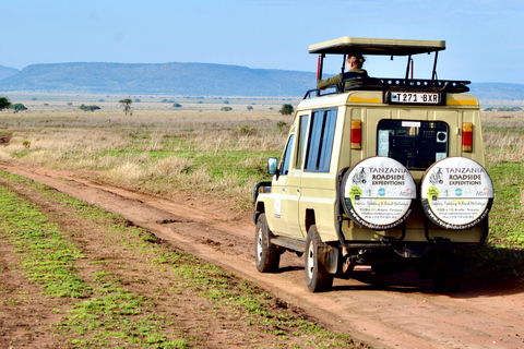 Day trip to Tarangire National Park