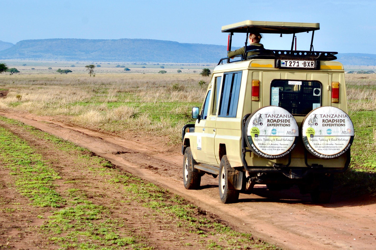 Day trip to Tarangire National Park