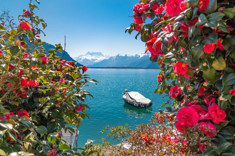 Montreux: Fånga de mest fotogeniska platserna med en lokalUpptäck Montreux mest fotogeniska platser med en lokal guide