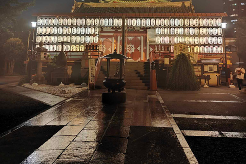 Private guided tour of Tokyo and surrounding area with English-speaking guide