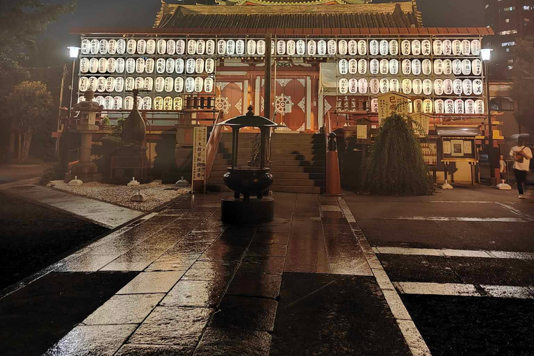 Private guided tour of Tokyo and surrounding area with English-speaking guide